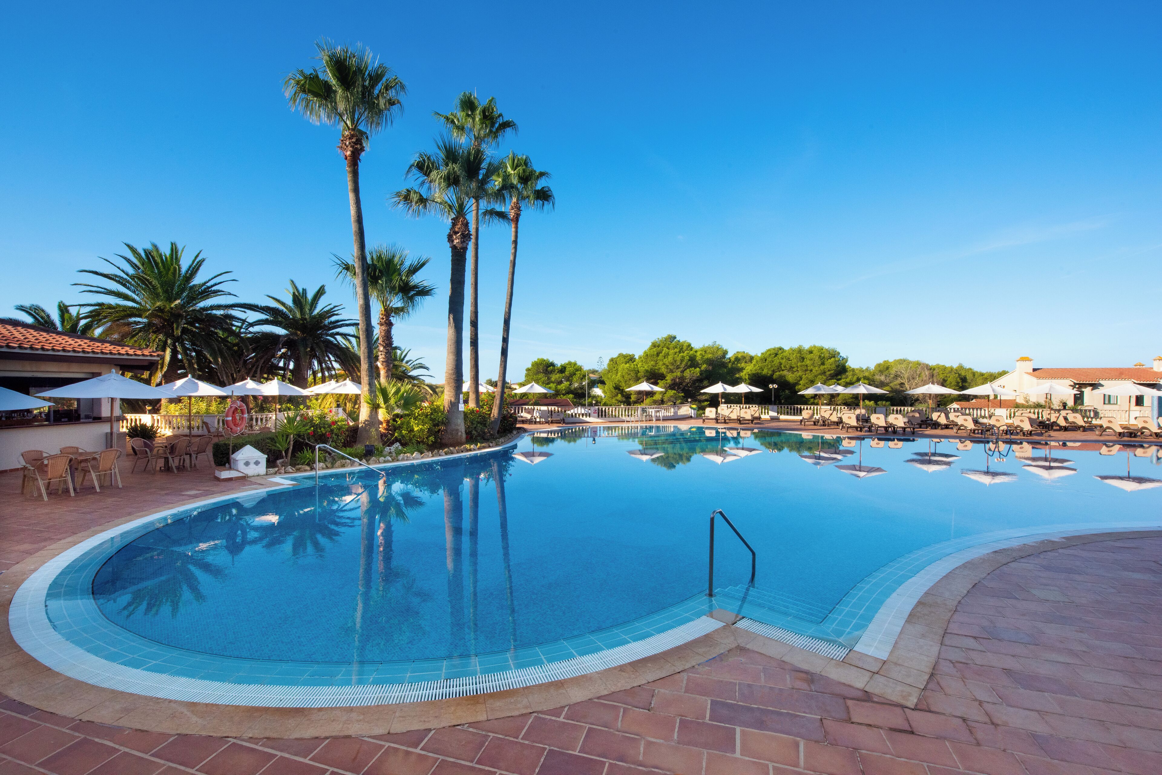 A large, clear swimming pool with palm trees and lounge chairs around it.
