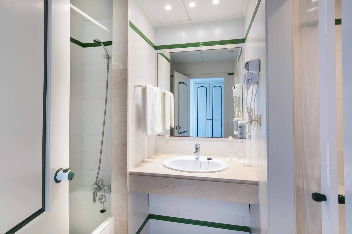 single room, terrace | bathroom | combined shower/bathtub, free toiletries, hair dryer, bidet