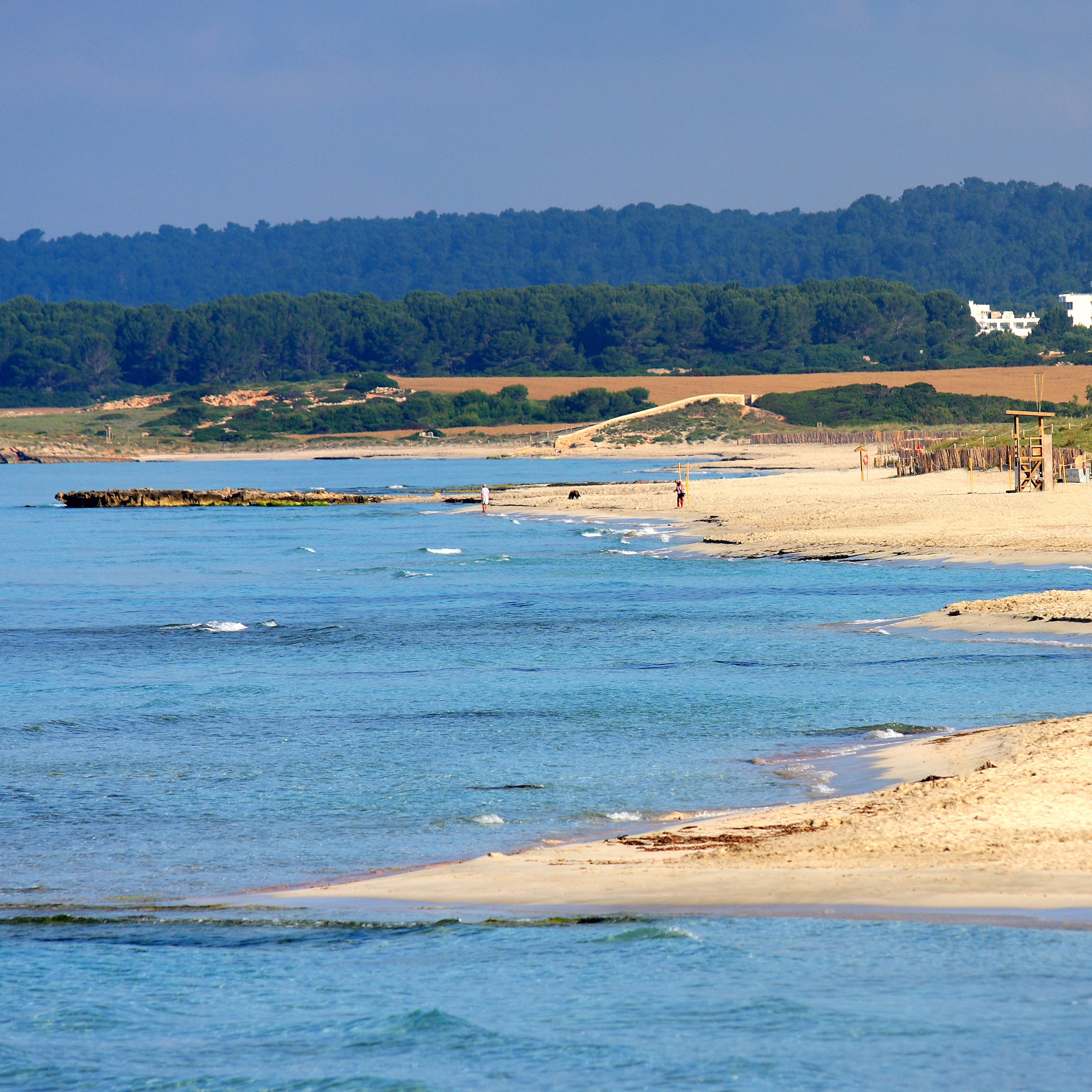 Photo - Valentin Son Bou