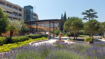 A courtyard with a fountain, lavender bushes, and a modern building with balconies.