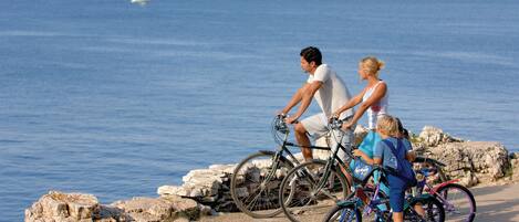 A coastal scene with a rocky shoreline, a sailboat in the distance, and people with bicycles.