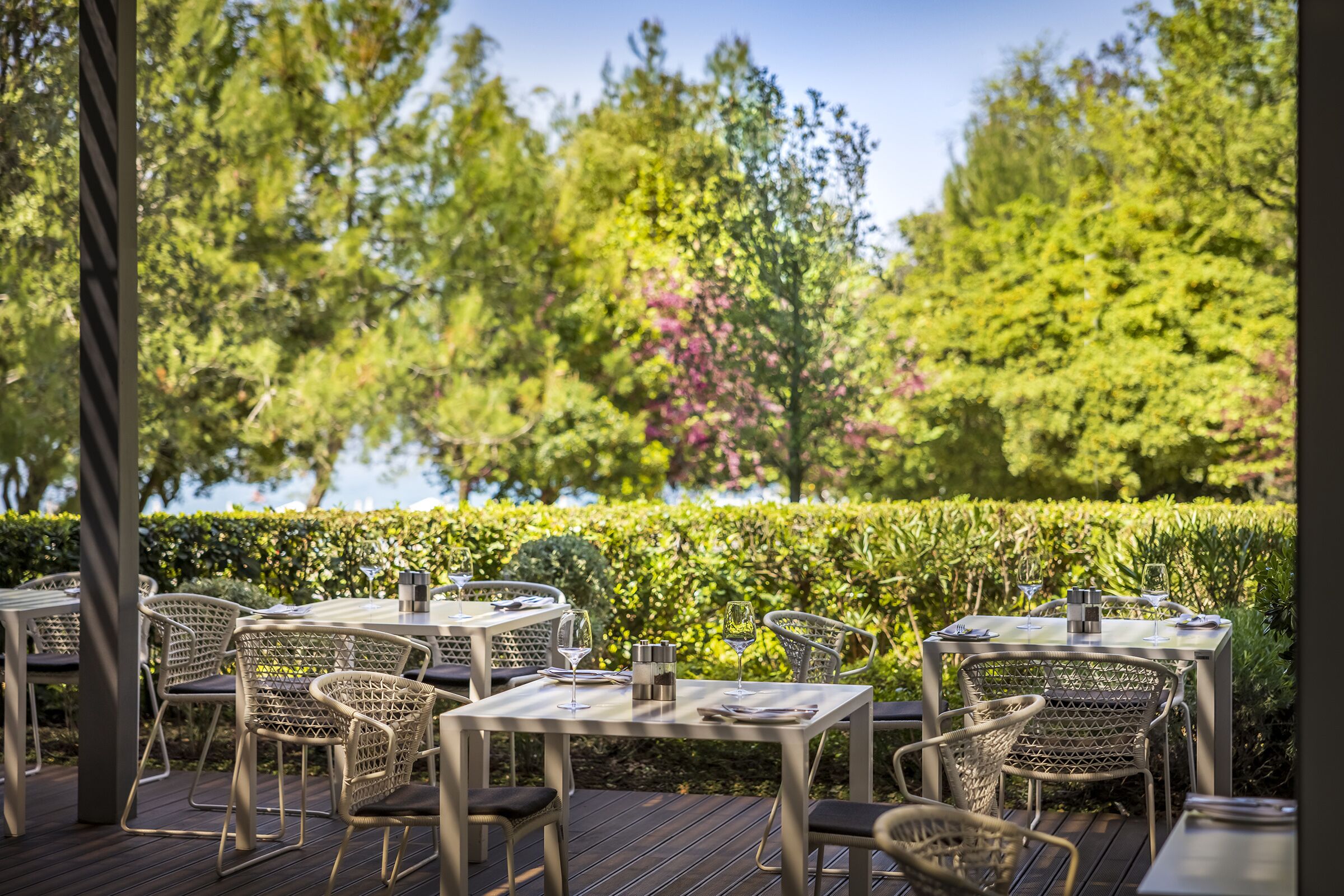 An outdoor dining area with tables and chairs, surrounded by greenery and trees.