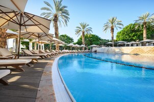 Piscina con sillones de descanso y sombrillas, rodeada de palmeras.