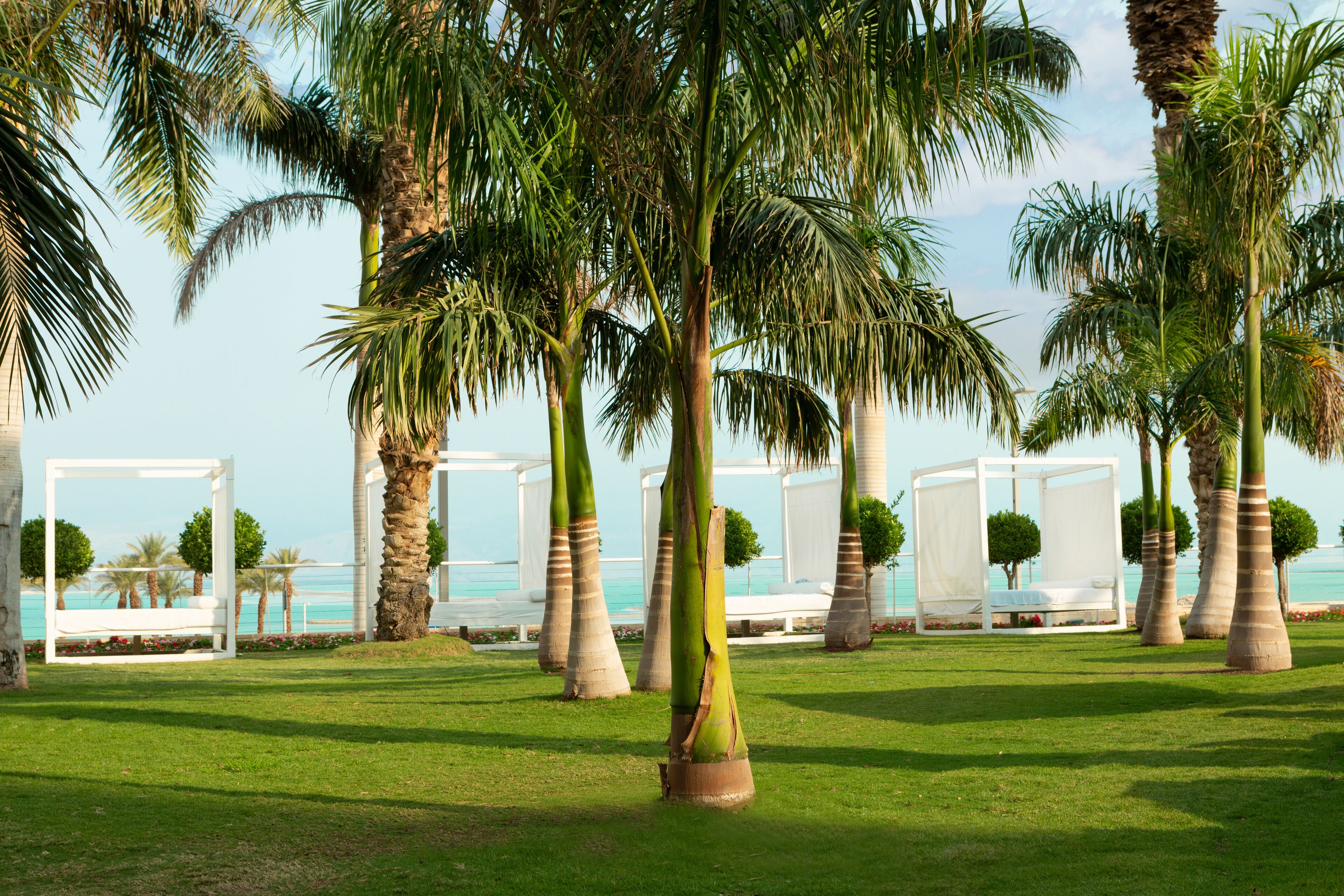 Un resort con palmeras, cabañas blancas y vista al océano.