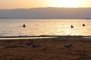 Plage privée à proximité, chaises longues, parasols, serviettes de plage