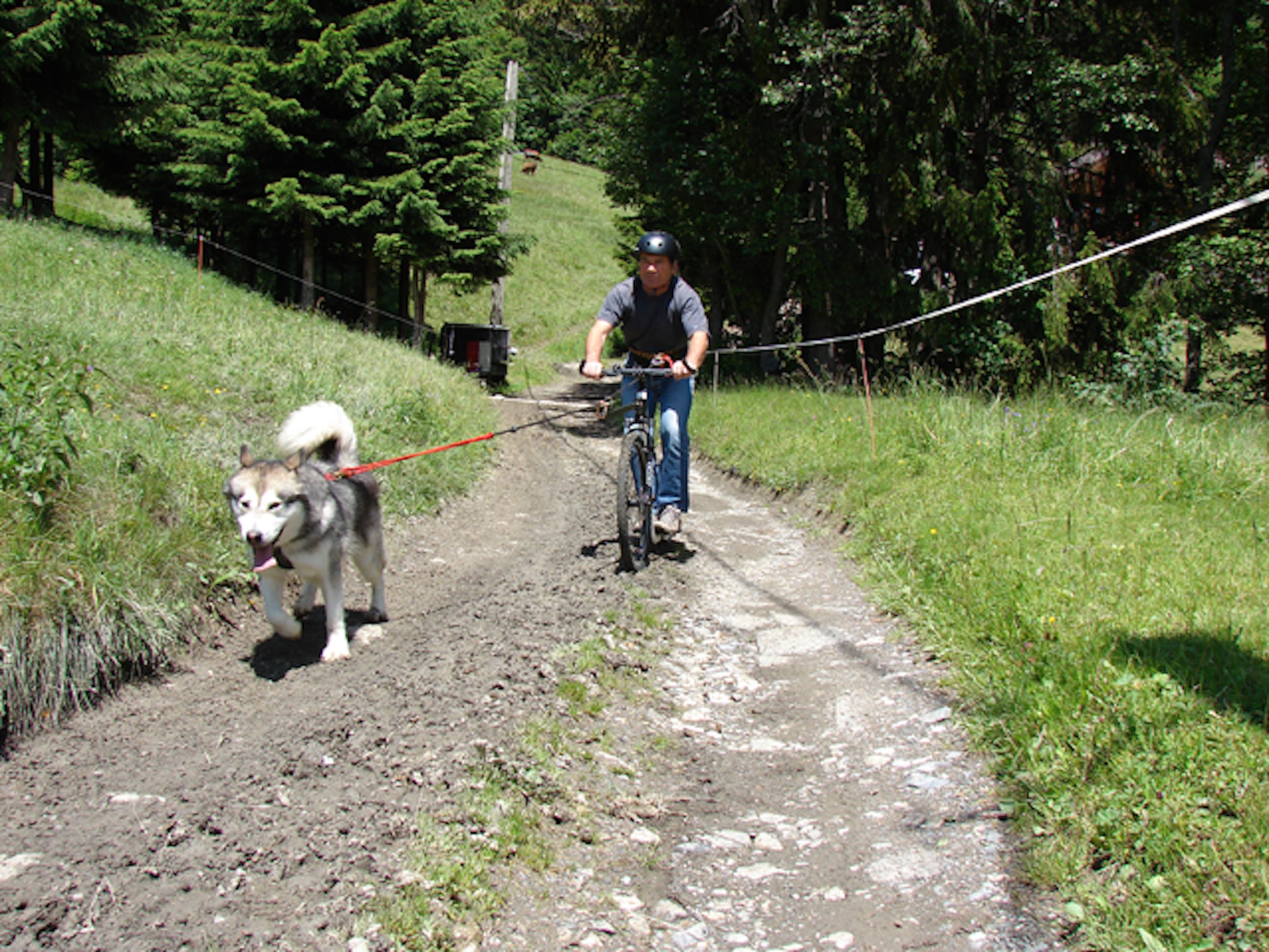 A person riding a bicycle on a dirt path with a dog on a leash.