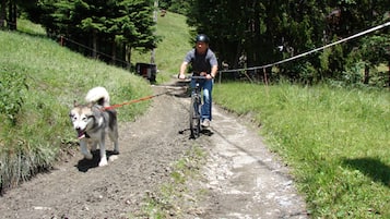 A person riding a bicycle on a dirt path with a dog on a leash.