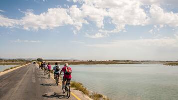 A group of cyclists on a paved road beside a calm body of water, with a clear sky above.