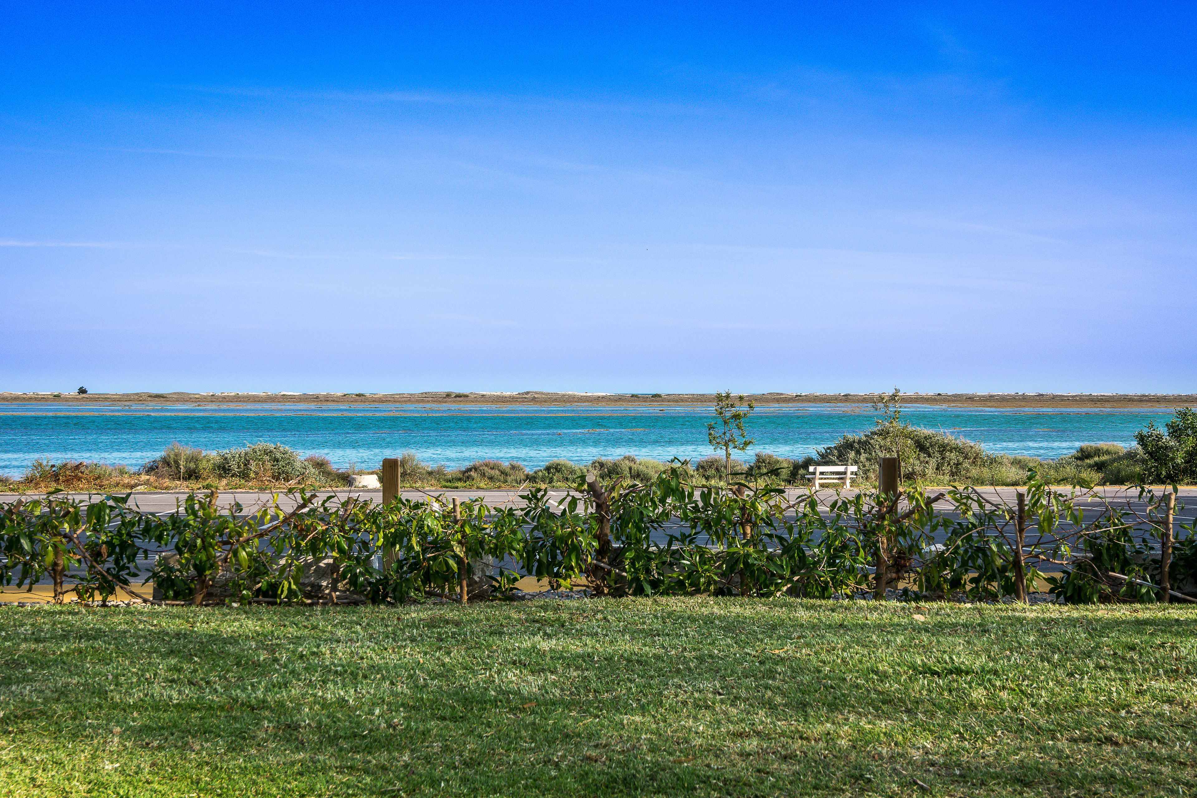 A coastal landscape with a clear sky, a body of water, and a grassy area with a fence.