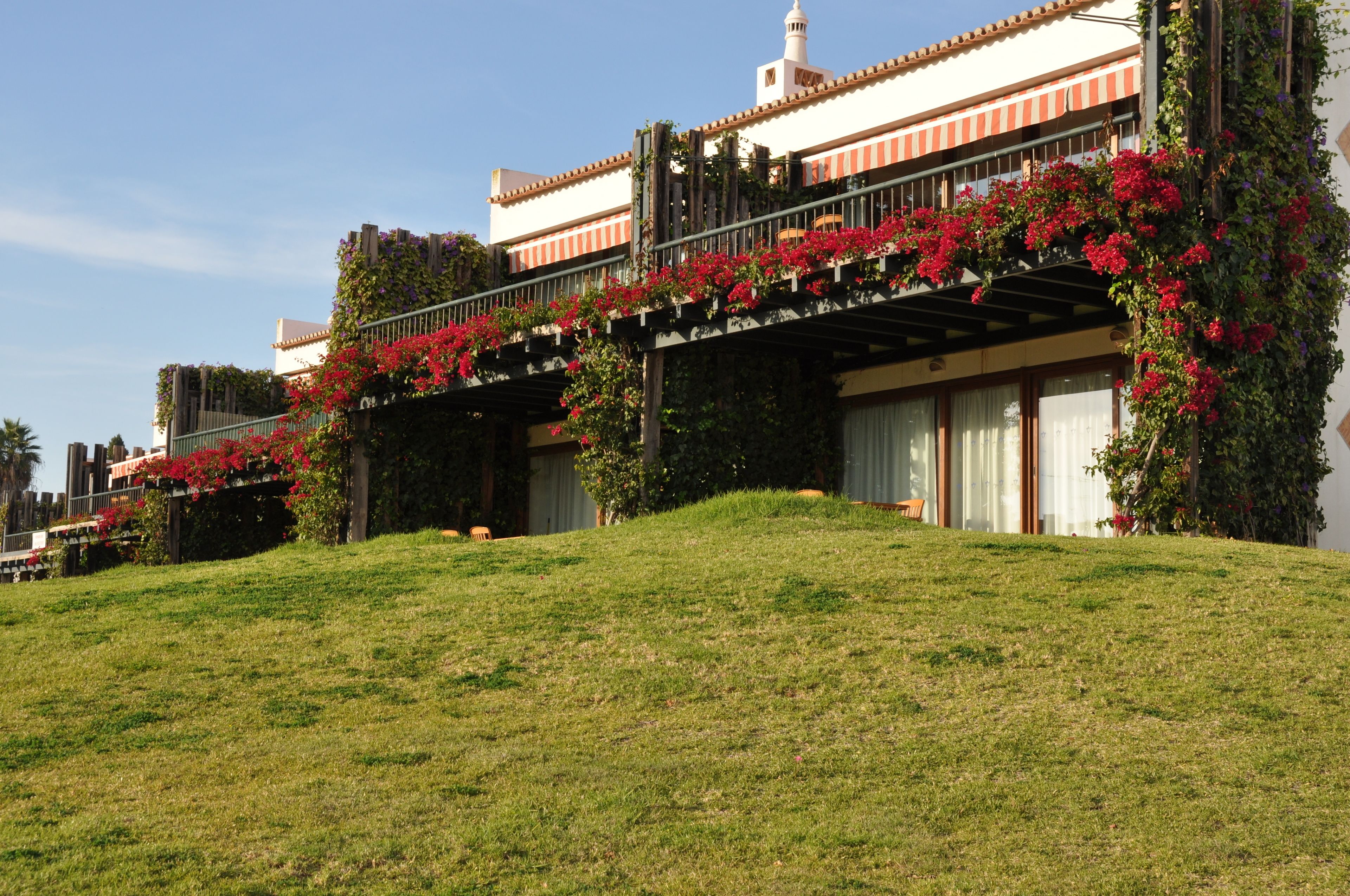 Un hôtel doté d’un espace extérieur abrité, d’une colline verdoyante et de fleurs rouges.