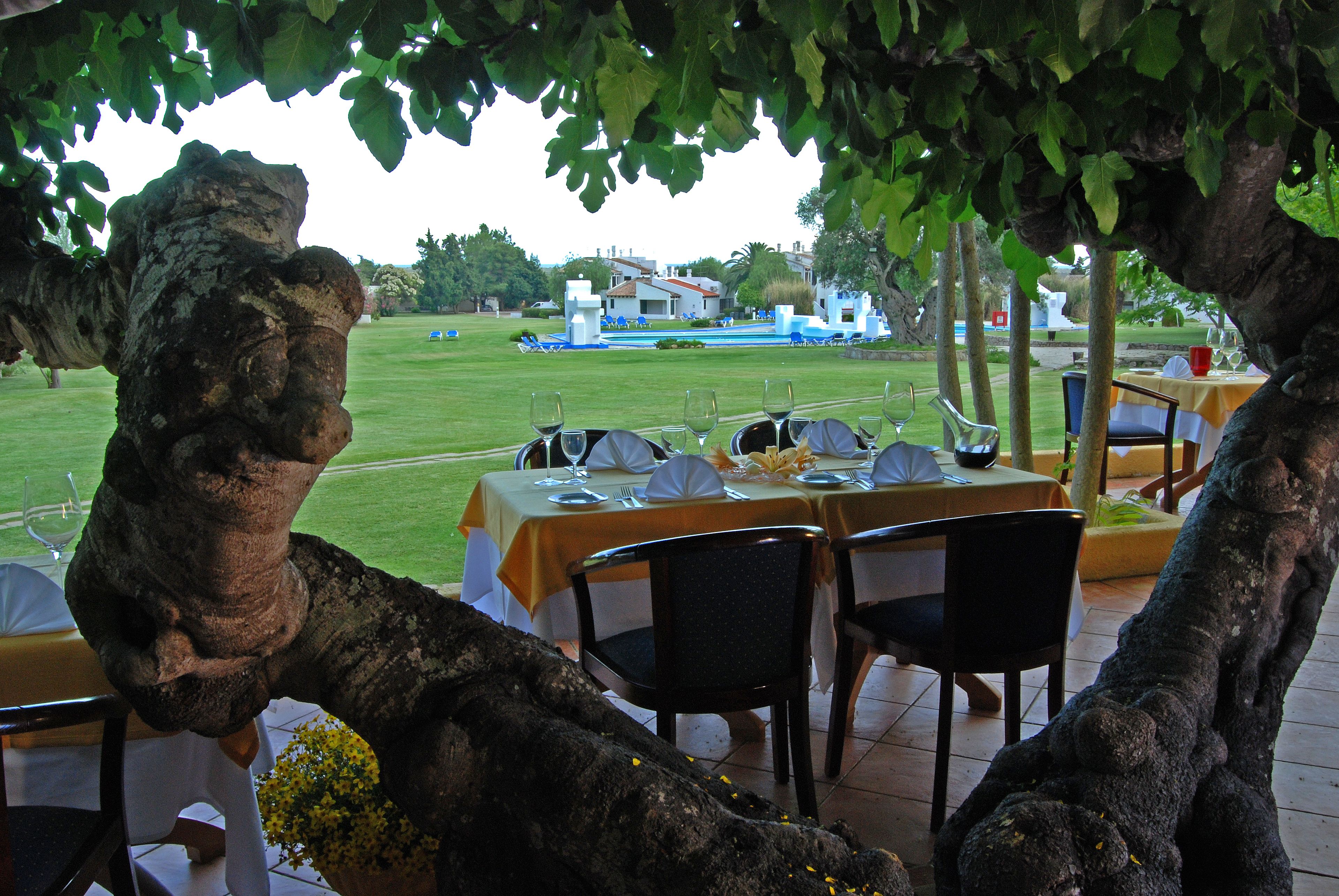 An outdoor dining area with tables set for a meal, surrounded by large trees.