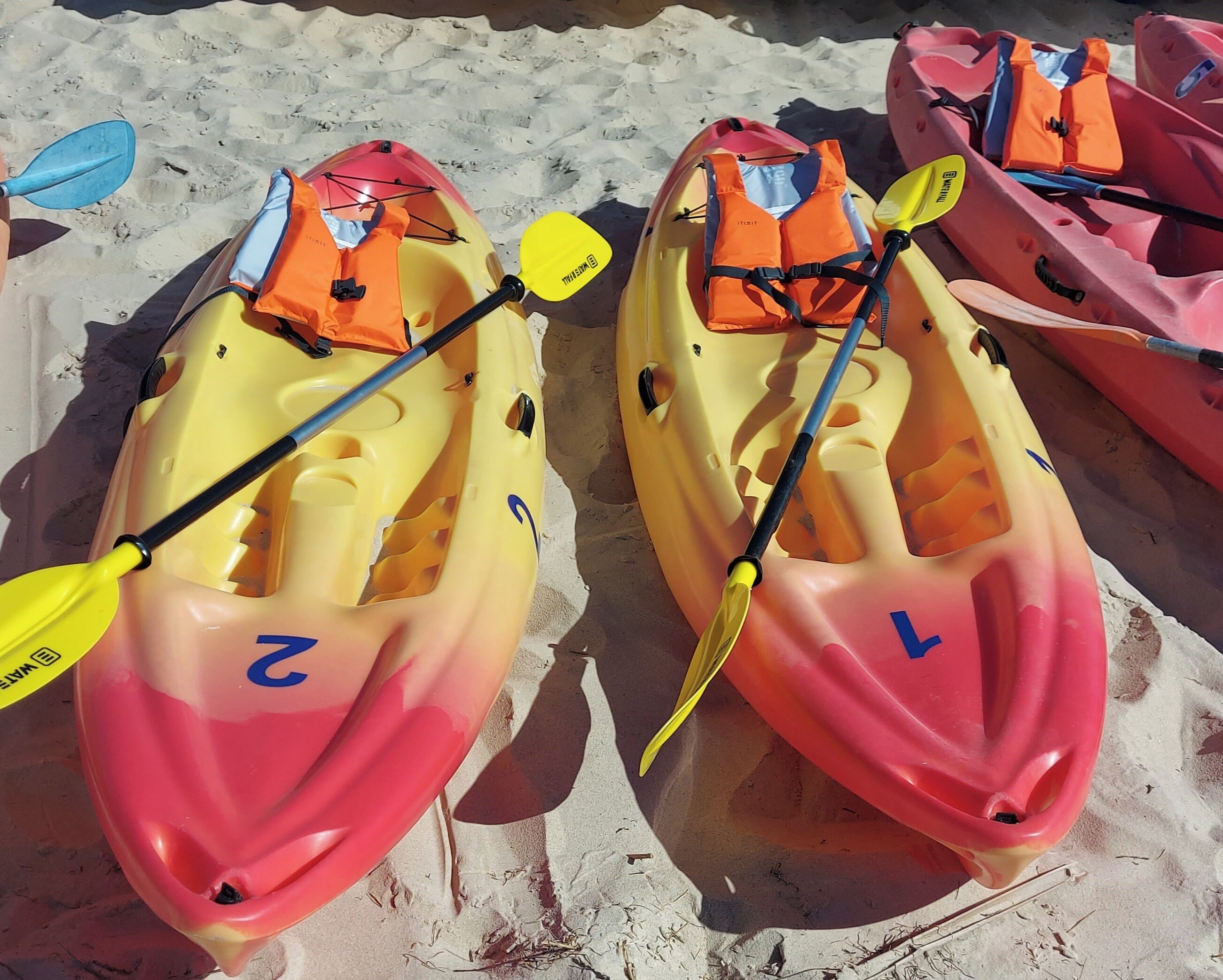 Due kayak con giubbotti di salvataggio e pagaie su una spiaggia sabbiosa.
