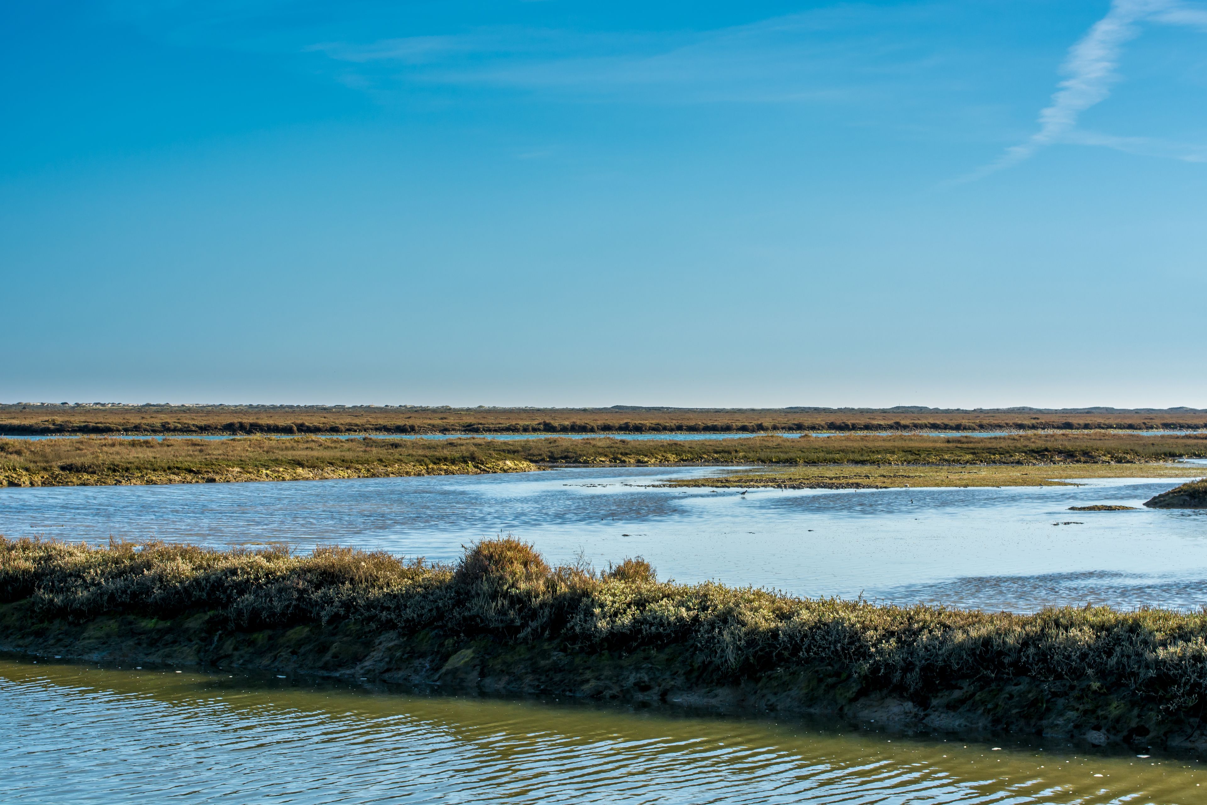 A flat, expansive landscape with a water body in the foreground and a distant horizon.