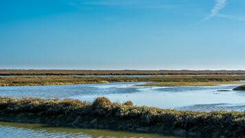 A flat, expansive landscape with a water body in the foreground and a distant horizon.