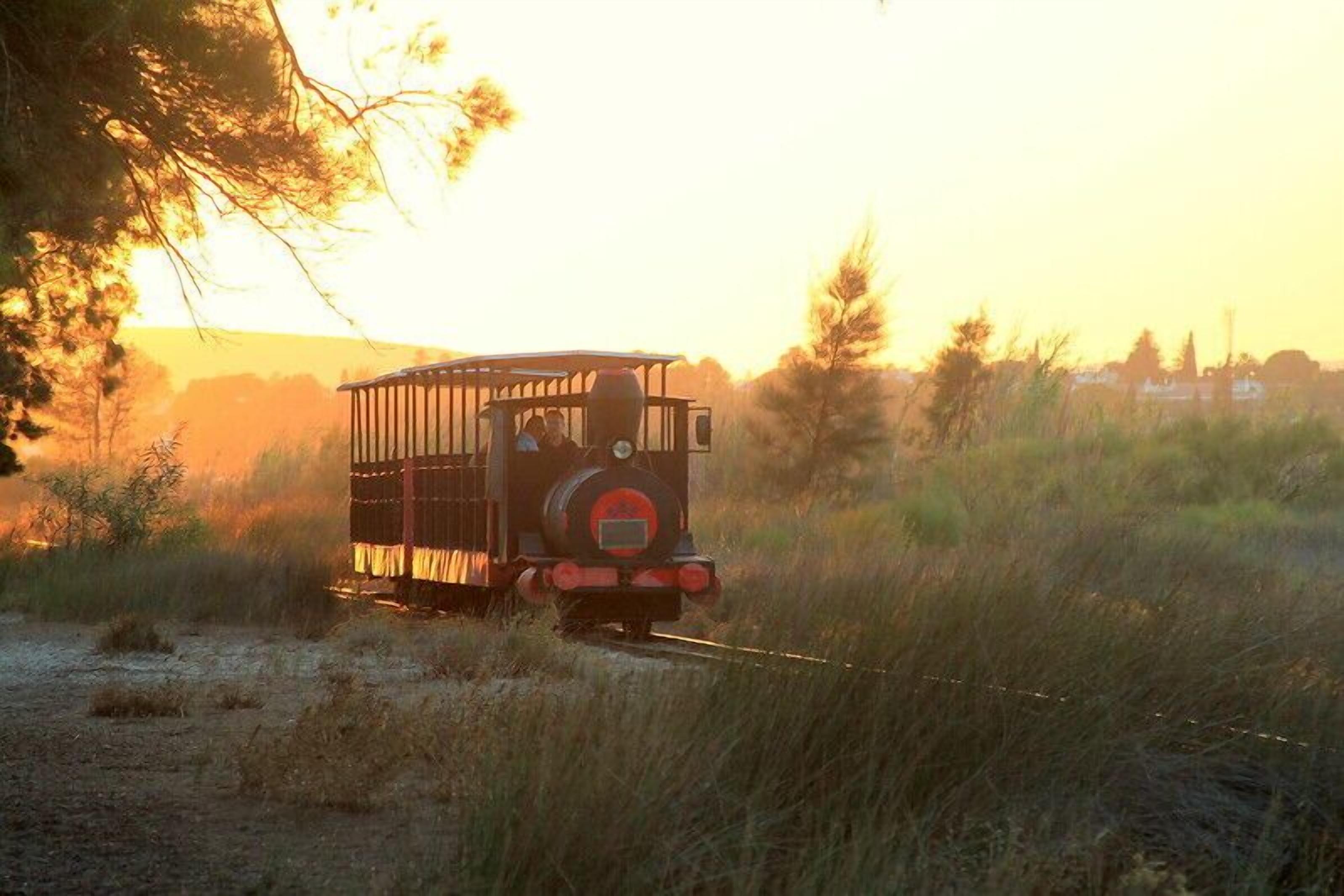 Um pequeno trem nos trilhos, cercado por grama alta e árvores, com um pôr do sol ao fundo.