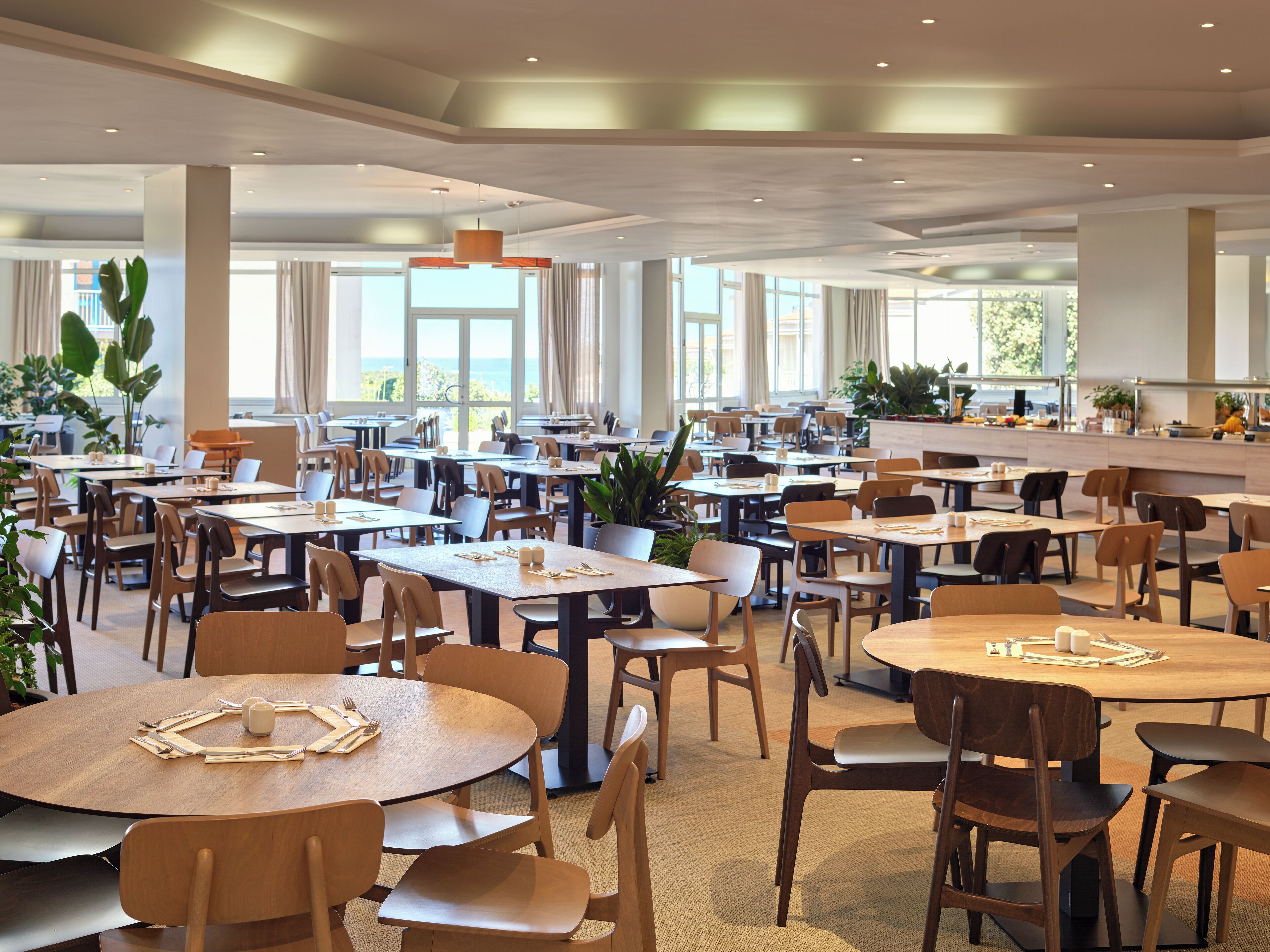 A spacious dining area with multiple tables and chairs, large windows with curtains, and potted plants.