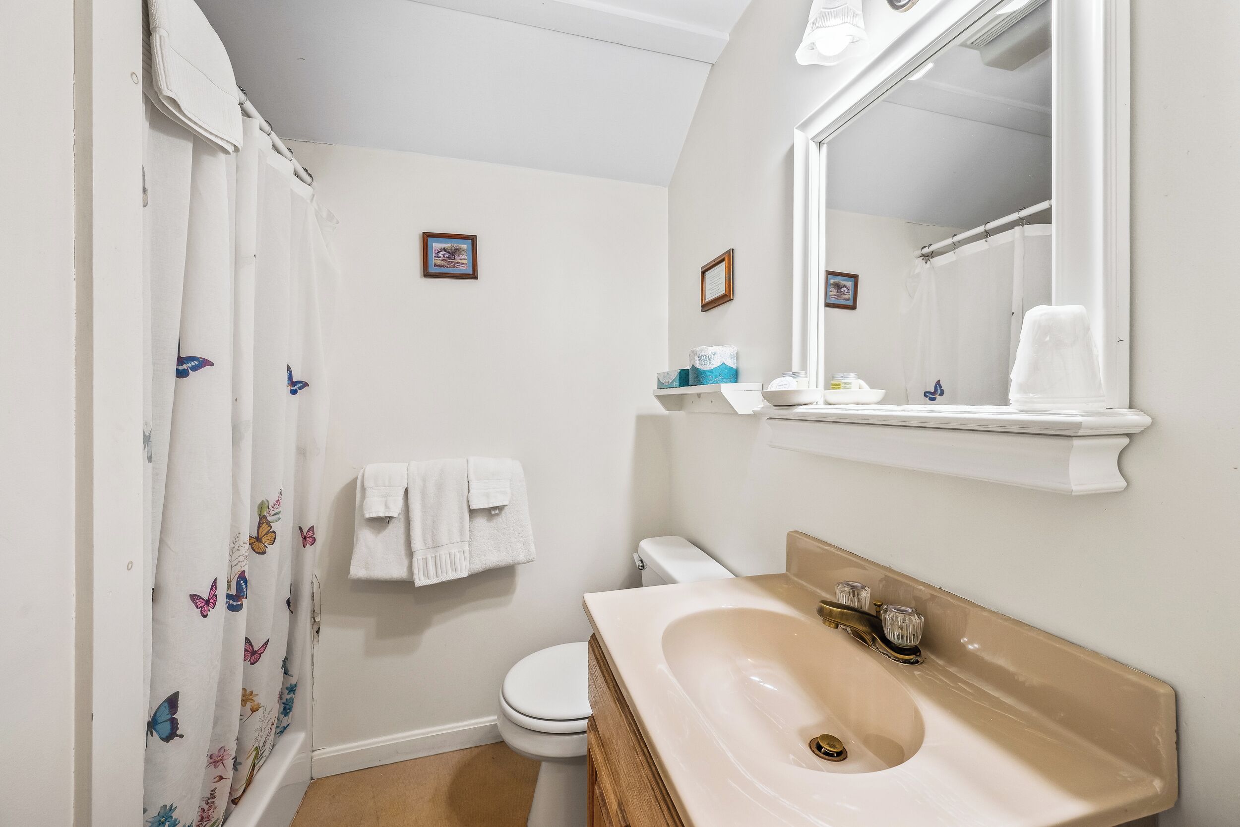 Een badkamer met toilet, wastafel, spiegel en douchegordijn.