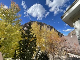 Vista a la montaña