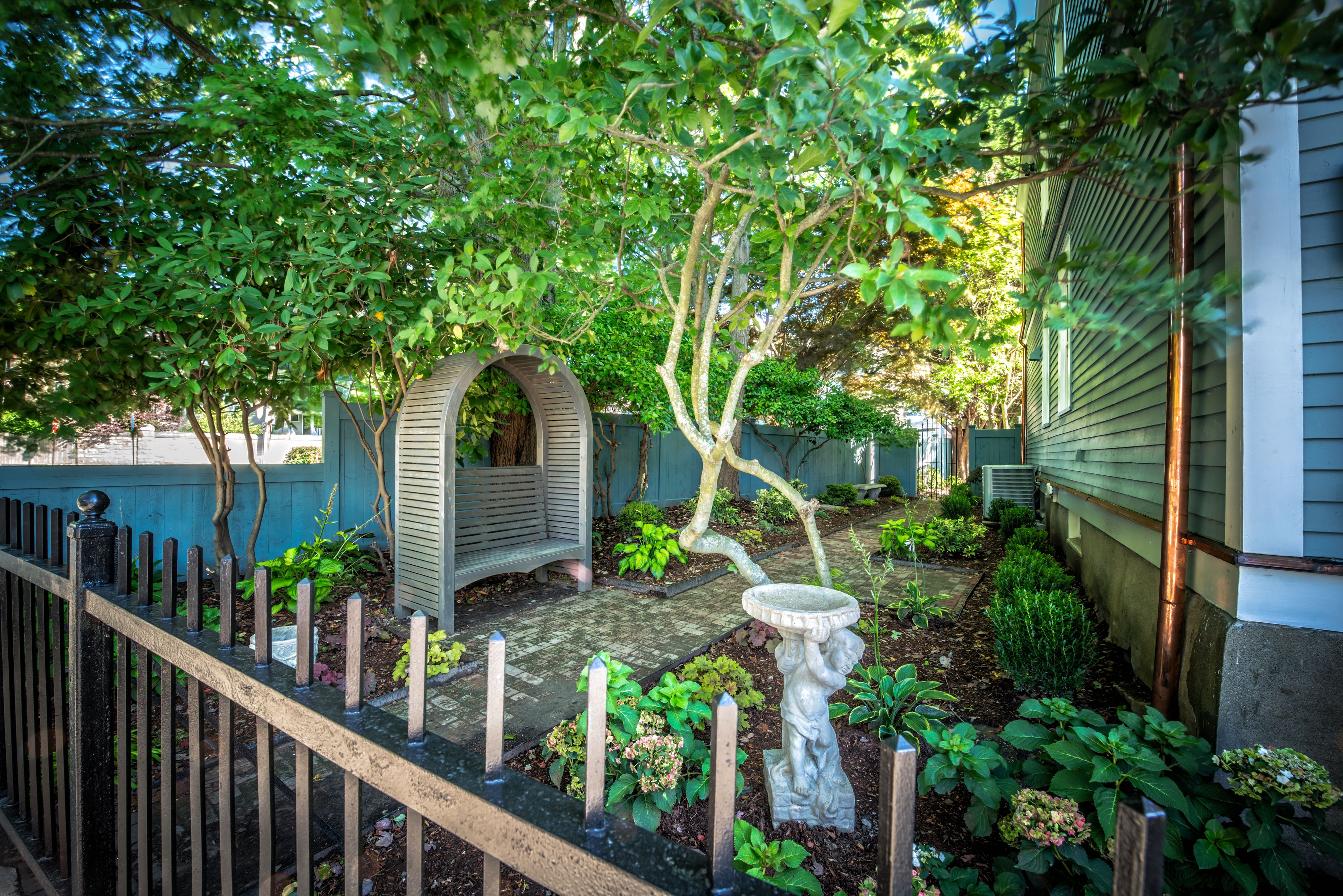 A garden with a wooden fence, a birdbath, and a small tree.