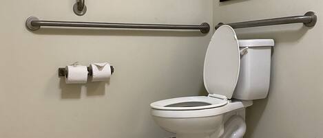 Un baño con inodoro blanco, barandilla y un cuadro en la pared.