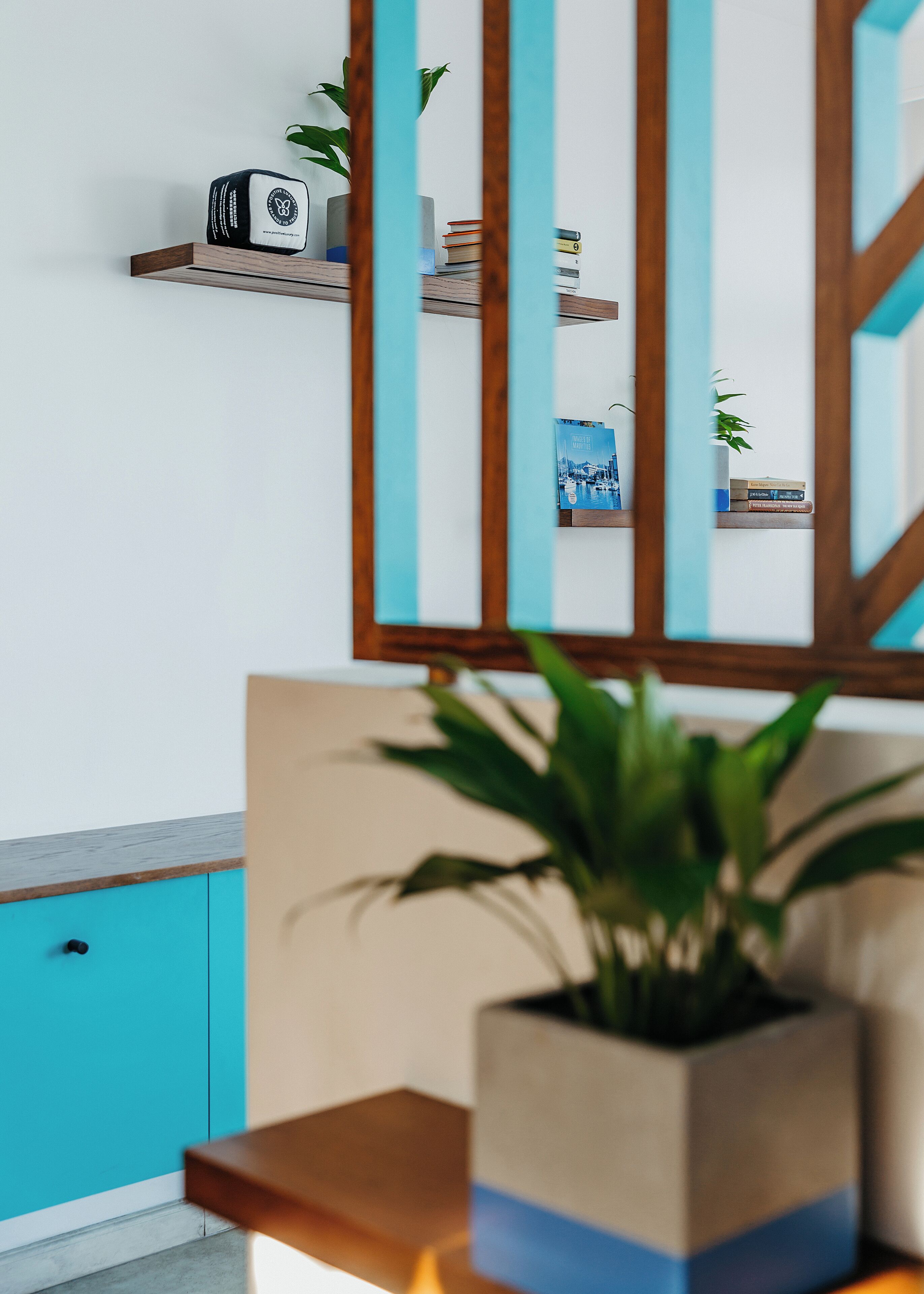 A modern interior with a wooden shelf holding books and a decorative item, a blue cabinet, and a potted plant on a wooden table.
