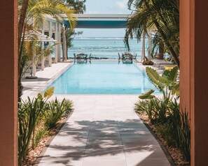 Una piscina al aire libre, sombrillas, sillones reclinables de piscina