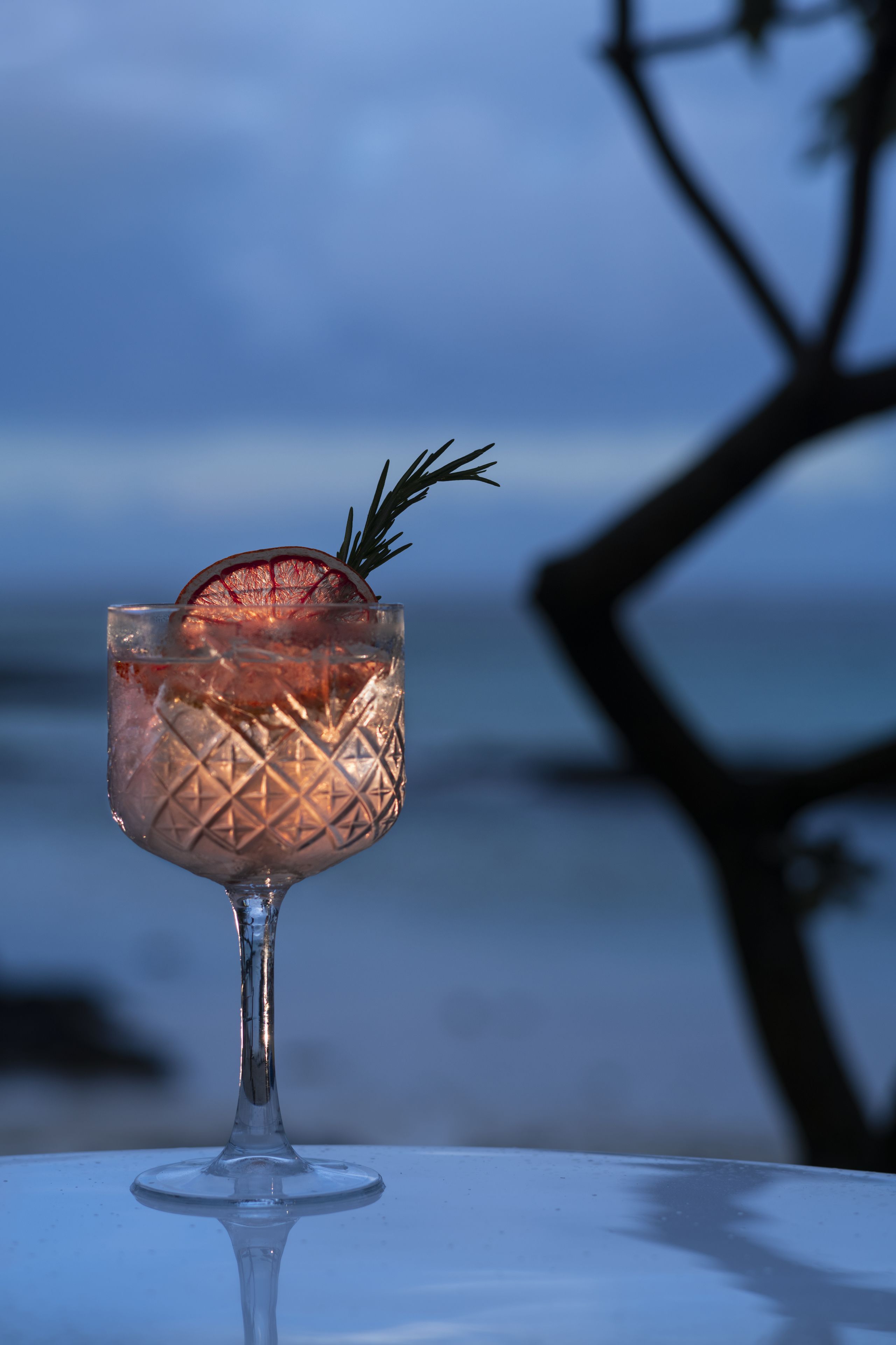 A cocktail glass with a decorative pattern, garnished with a sprig and a slice, placed on a table with a blurred background of a tree and sky.