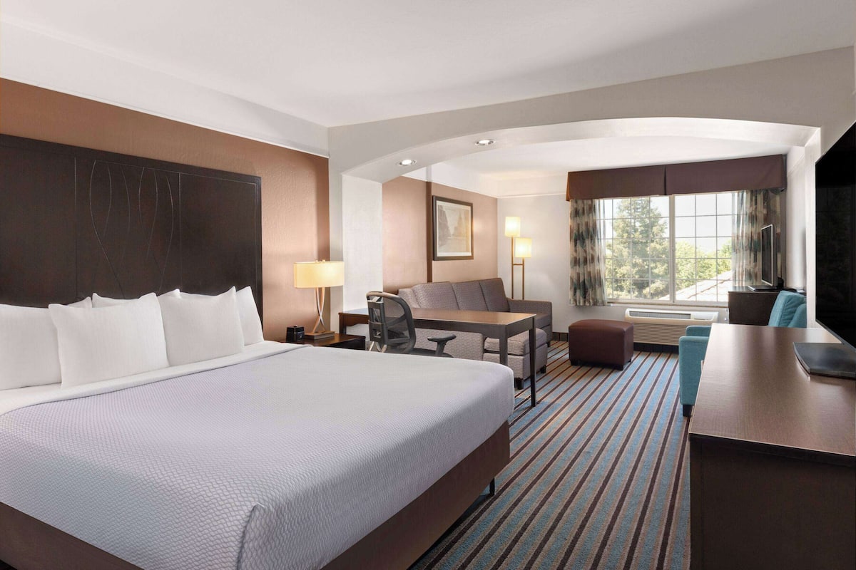 A hotel room with a large bed, a desk, a chair, a sofa, a TV, and a window with curtains.