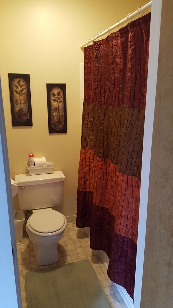 A bathroom with a toilet, a sink, and a shower curtain. There are two framed pictures on the wall.