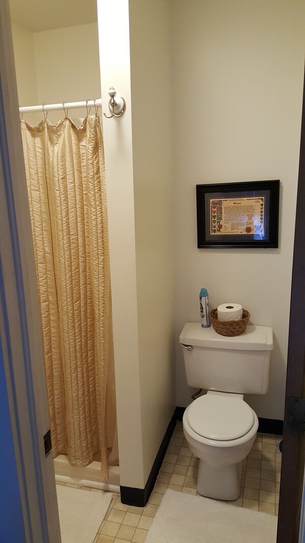 A bathroom with a toilet, a framed historical document, and a shower curtain.