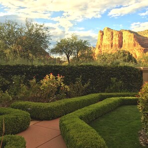 Gold Poppy | View from room
