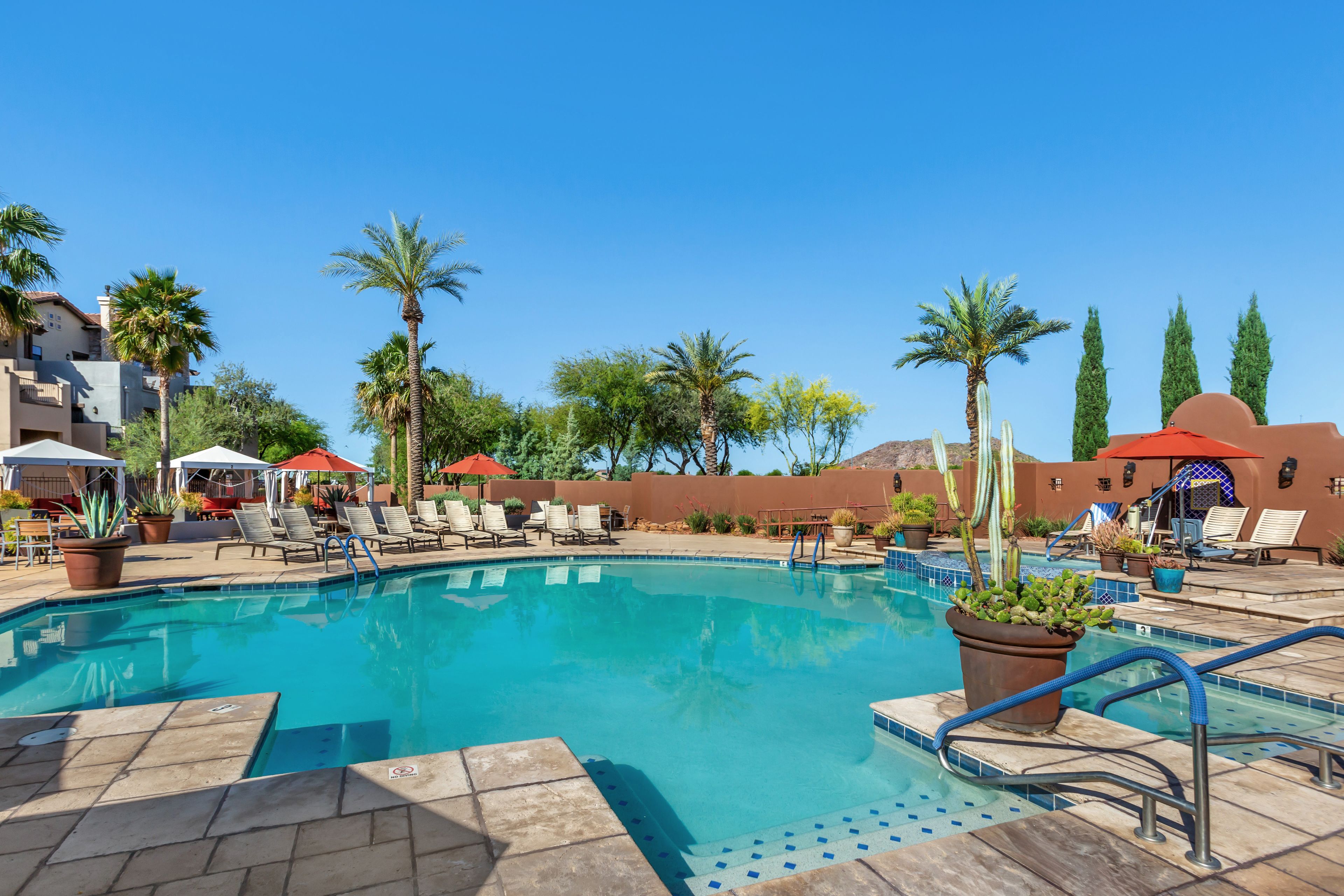 A pool area with lounge chairs and umbrellas, surrounded by palm trees and cacti.