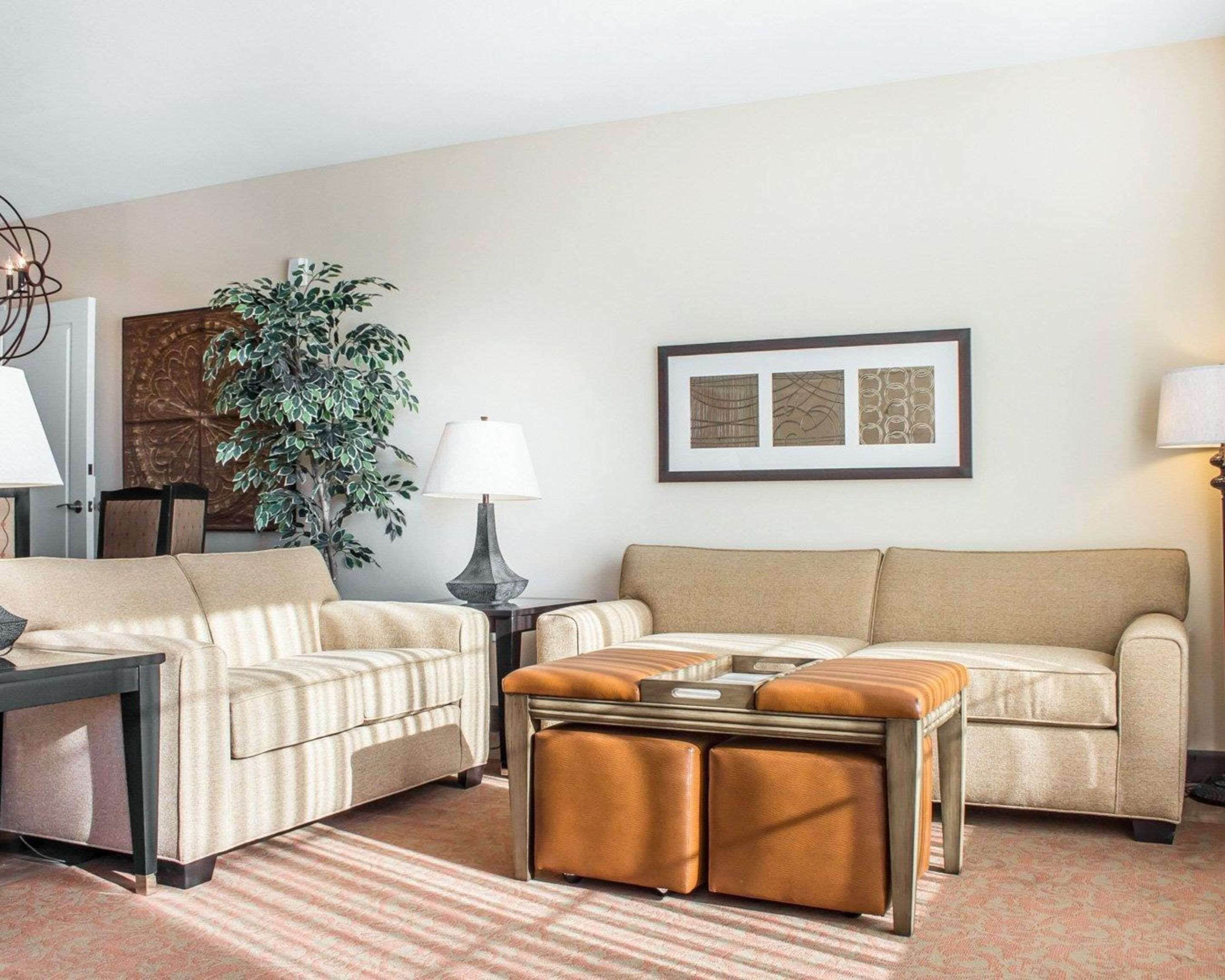 A living room with two sofas, a coffee table, a side table with a lamp, a potted plant, and framed artwork on the wall.
