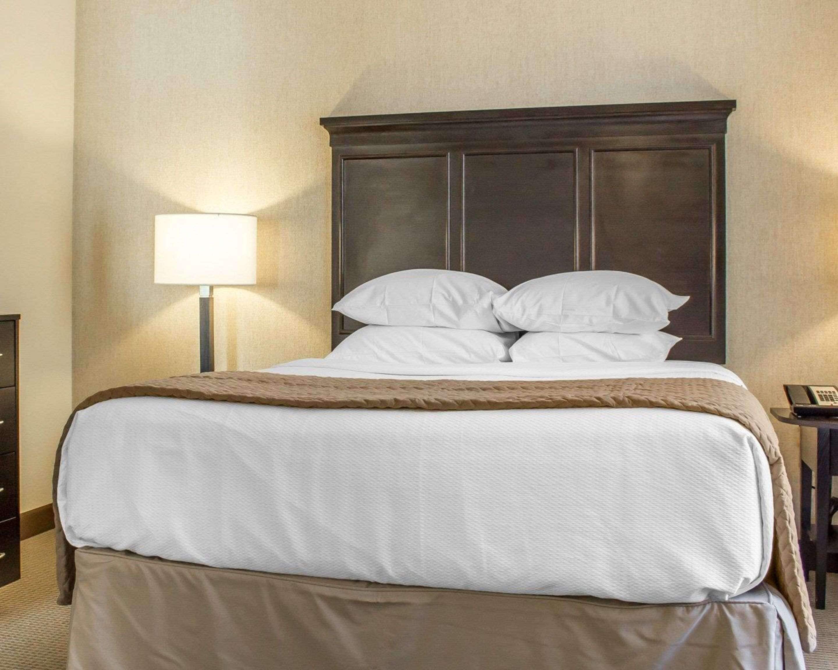 A hotel room with a large bed, a bedside lamp, and a telephone on a small table.