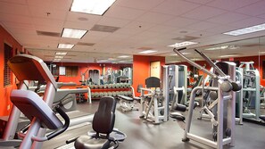 A gym with treadmills, weight machines, and free weights.