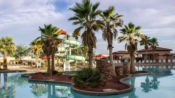 Relax by the pool surrounded by palm trees and lounge chairs.