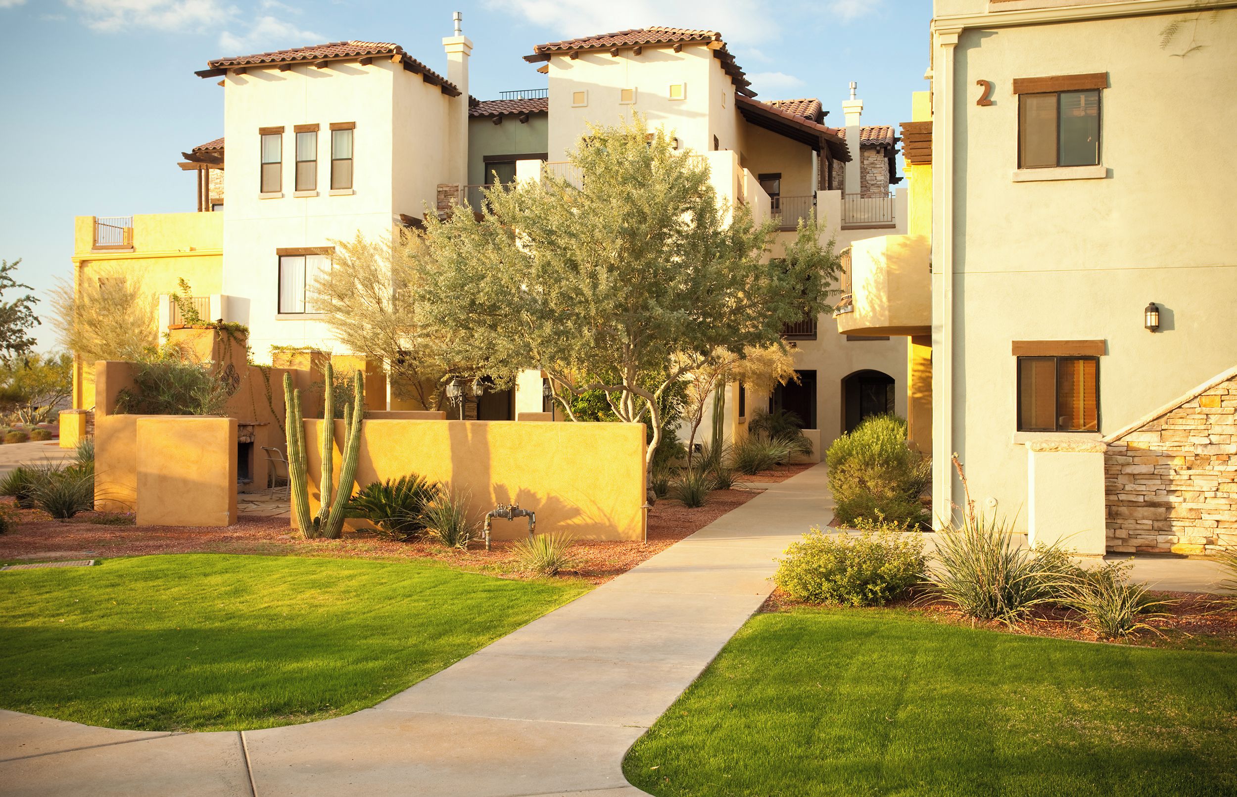 A residential building with a paved walkway, cacti, and a tree in the courtyard.