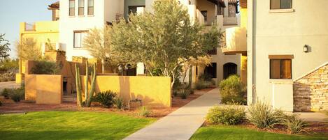A residential building with a paved walkway, cacti, and a tree in the courtyard.
