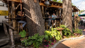 Una zona de estar al aire libre de estilo rústico, con un letrero de madera que dice "DAM BAR" y un árbol en el centro.