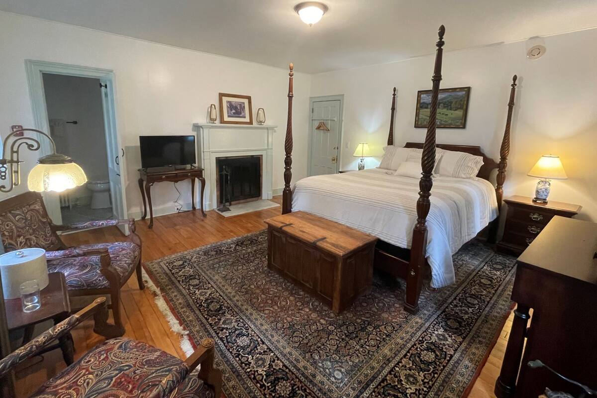Un lit à baldaquin avec une table de chevet, une télévision, une cheminée et un tapis à motifs, dans une pièce au plancher de bois et aux murs blancs.