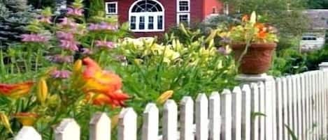 Trädgård