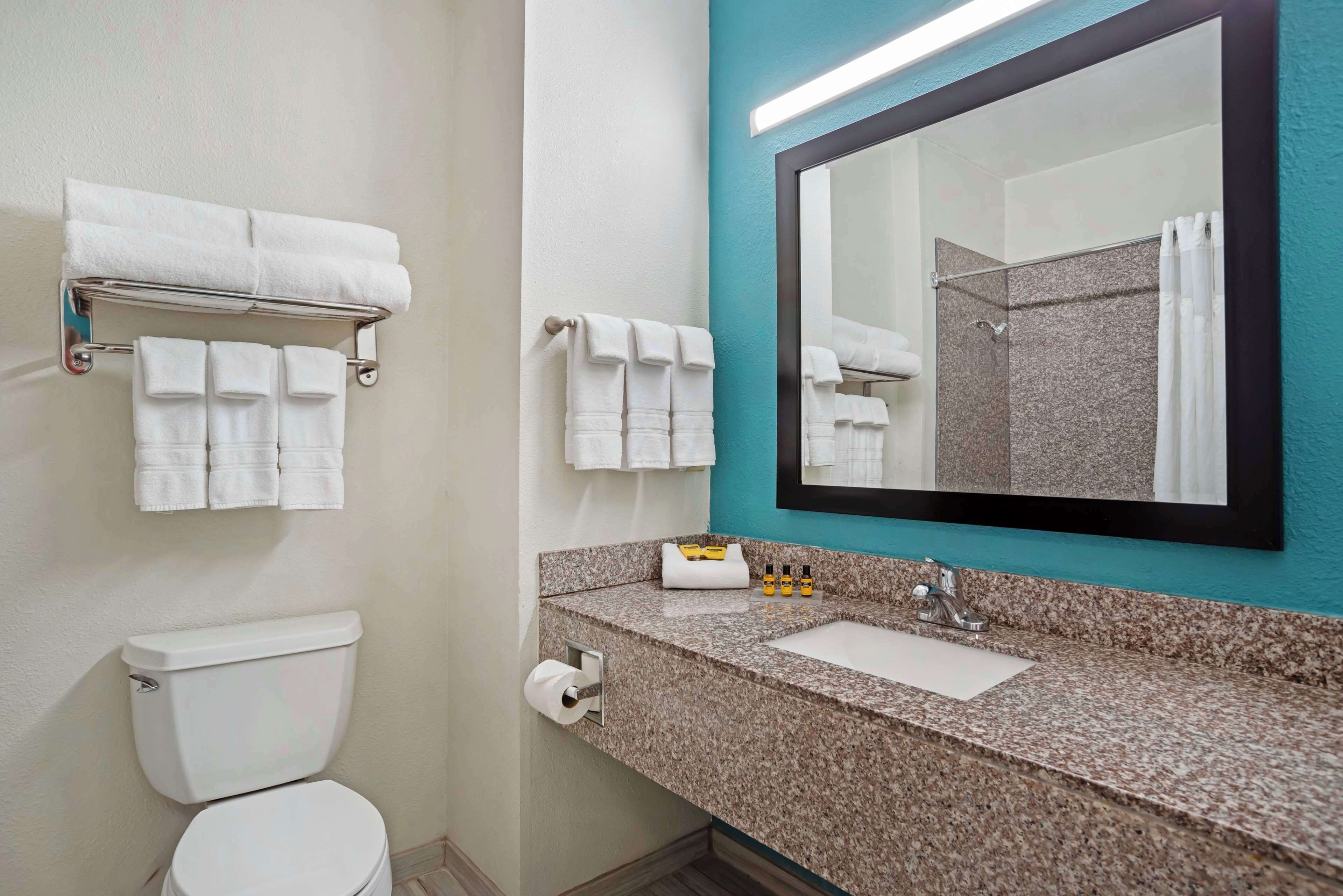 standard room, multiple beds, non smoking, refrigerator & microwave (larger room;with sofabed) | bathroom | free toiletries, hair dryer, towels