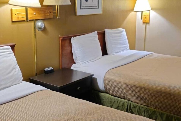Standard Room, 2 Queen Beds, Non Smoking | Premium bedding, iron/ironing board, free WiFi