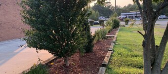 Americas Best Value Inn Roxboro