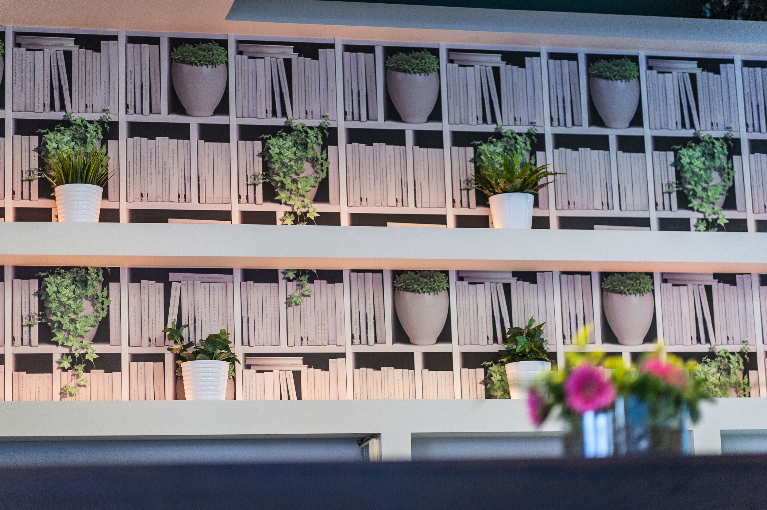 Una libreria con diversi ripiani pieni di libri e piante in vaso.