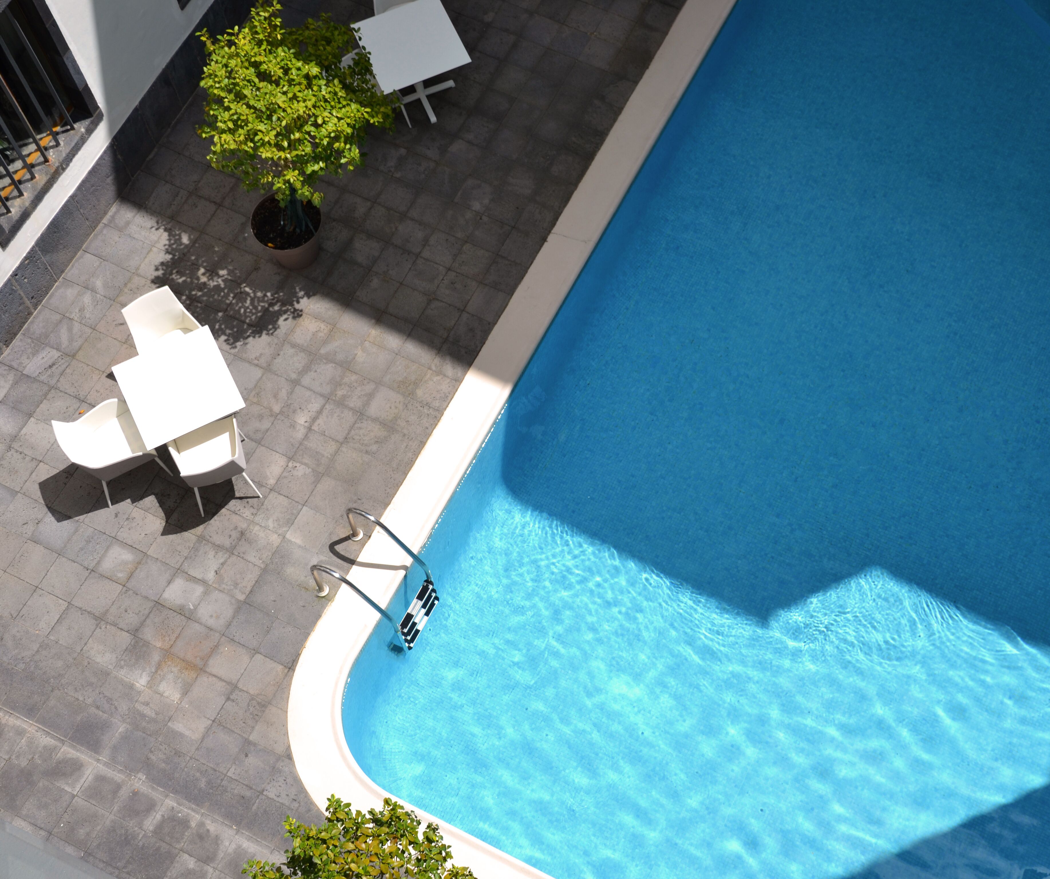 outdoor pool, pool loungers