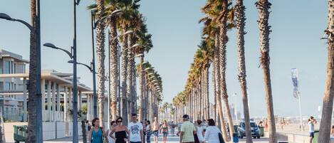 A coastal promenade lined with palm trees and street lamps, with people walking and a dog on a leash.