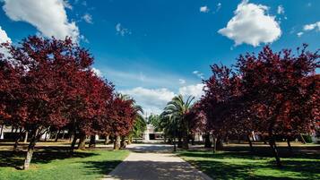 Un sendero bordeado de árboles con hojas rojas que lleva a un edificio a lo lejos.