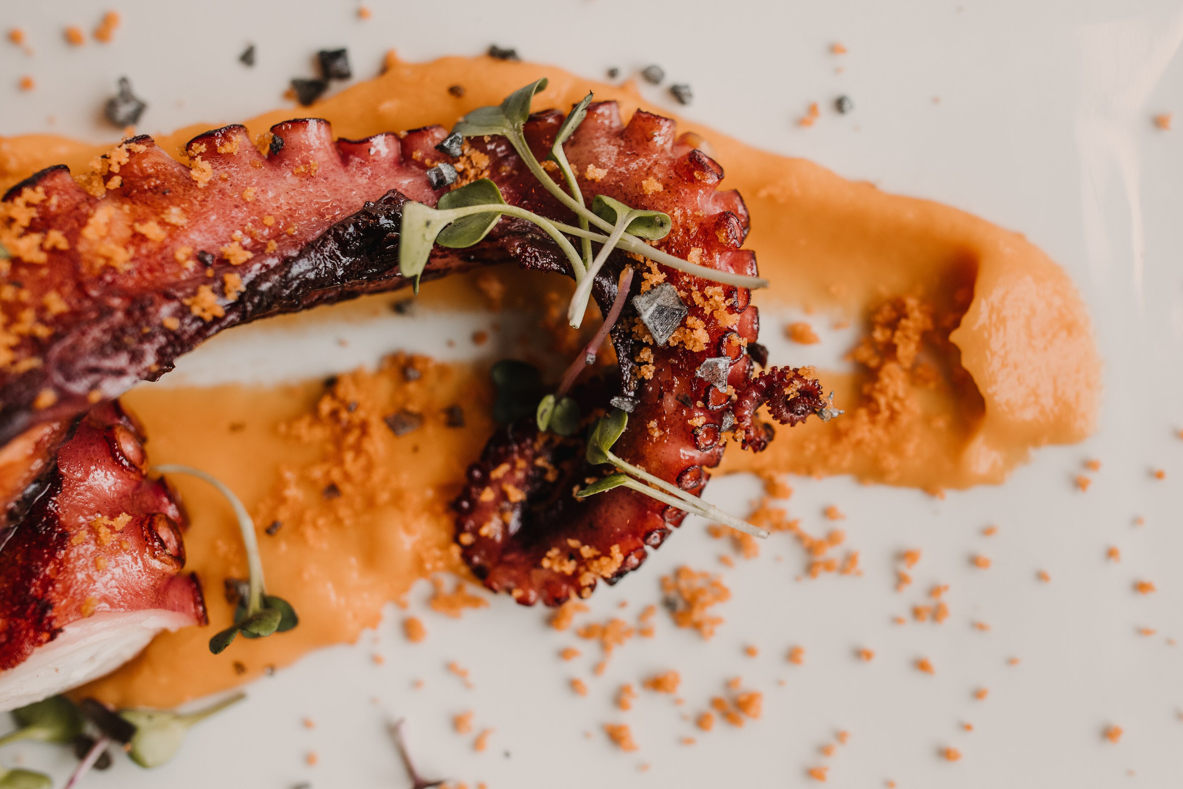 Un plato con un trozo de carne, posiblemente tocino, adornado con microgreens y queso desmenuzado.