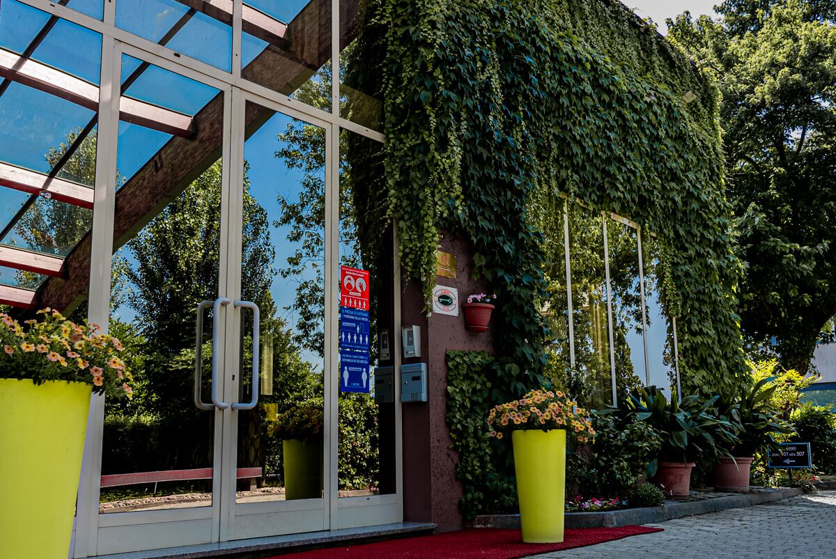 A building entrance with a glass facade, a red carpet, and potted plants.